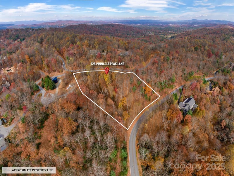 128 Pinnacle Peak Ln, Flat Rock, NC 28731