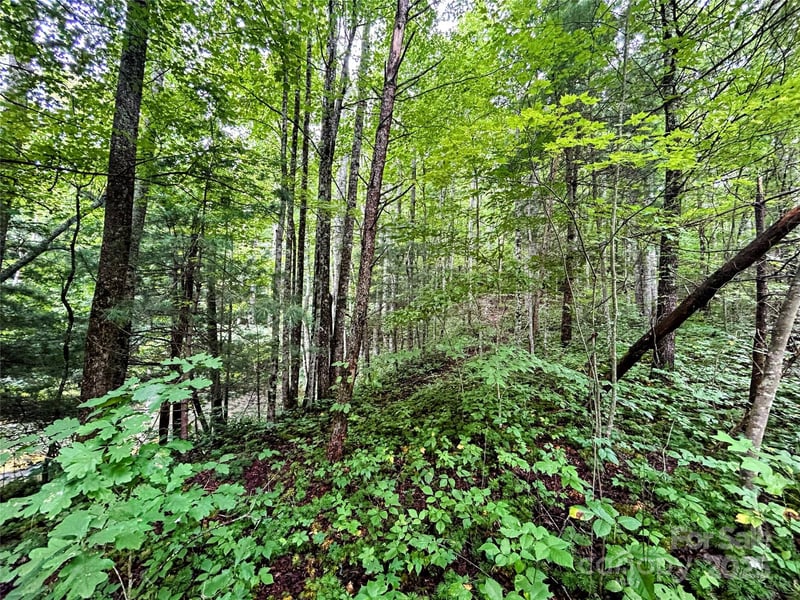 Lot 6 Azalea Way, Saluda, NC 28773