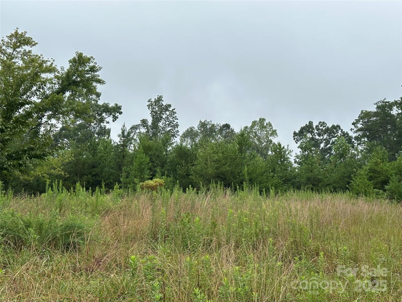 Lot 1 Celestial Dr, Nebo, NC 28761