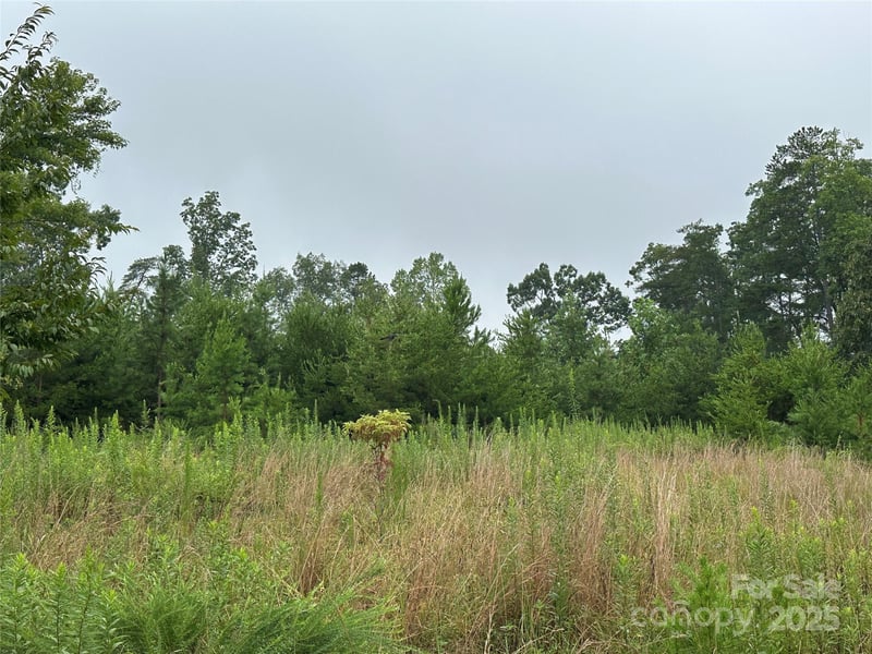 Lot 1 Celestial Dr, Nebo, NC 28761