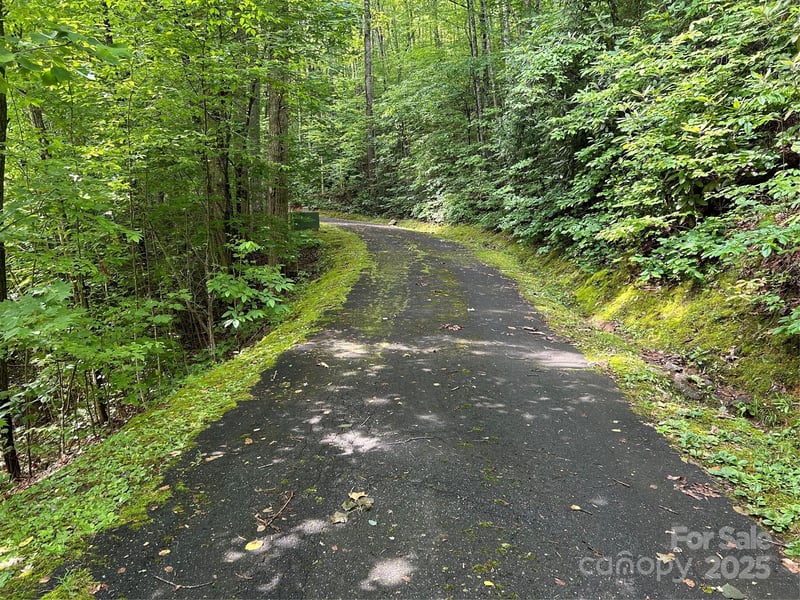 Loon Ln #50, Whittier, NC 28789