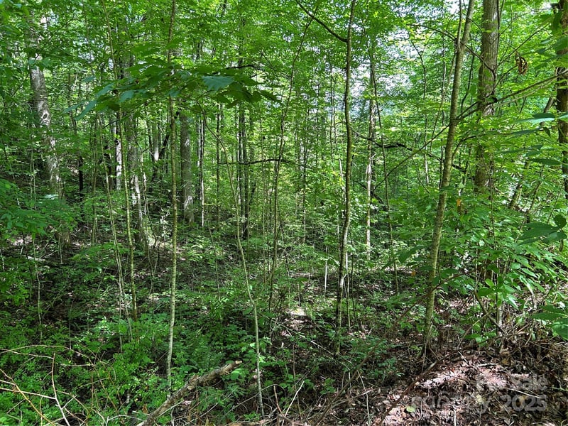 Loon Ln #50, Whittier, NC 28789