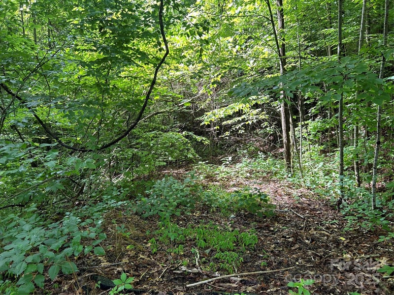Loon Ln #50, Whittier, NC 28789
