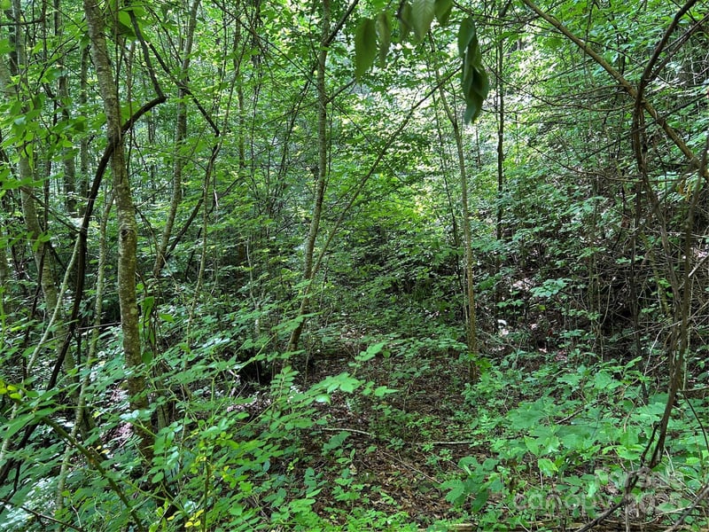 Loon Ln #50, Whittier, NC 28789