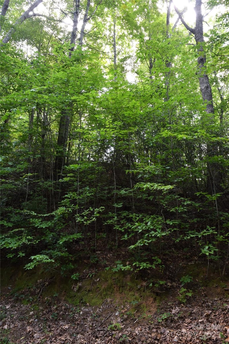 TBD Hideaway Ridge Trl #33 & 33A, Robbinsville, NC 28771