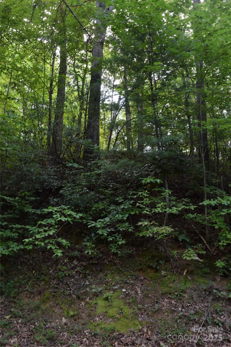 TBD Hideaway Ridge Trl #33 & 33A, Robbinsville, NC 28771