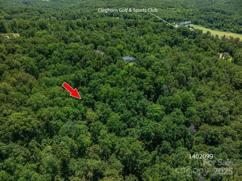 Lot 169 Coxe Rd, Rutherfordton, NC 28139