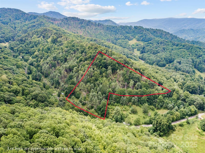 0000 Bee Log Rd, Burnsville, NC 28714