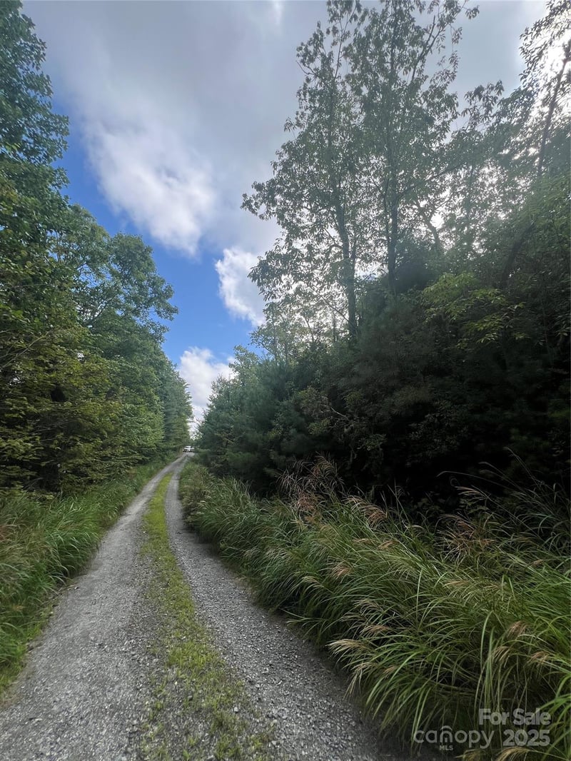 F2 Emma Bri Ln #F2, Hendersonville, NC 28739