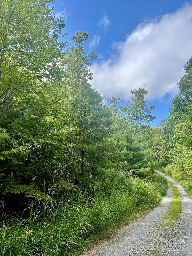 F2 Emma Bri Ln #F2, Hendersonville, NC 28739