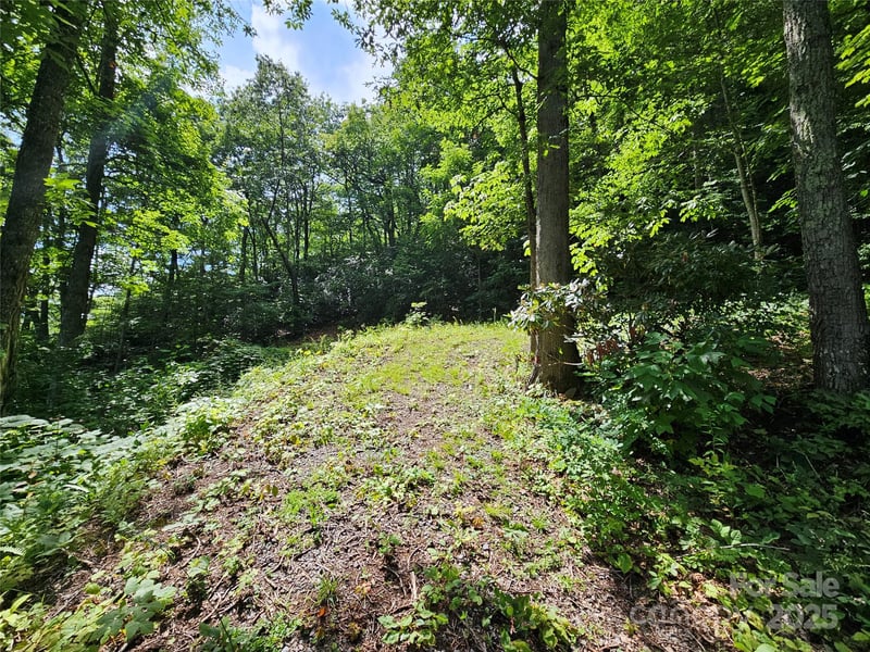 000 Big Boulder Rg #9, Maggie Valley, NC 28751