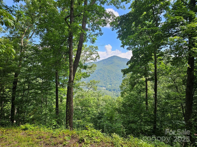 000 Big Boulder Rg #9, Maggie Valley, NC 28751
