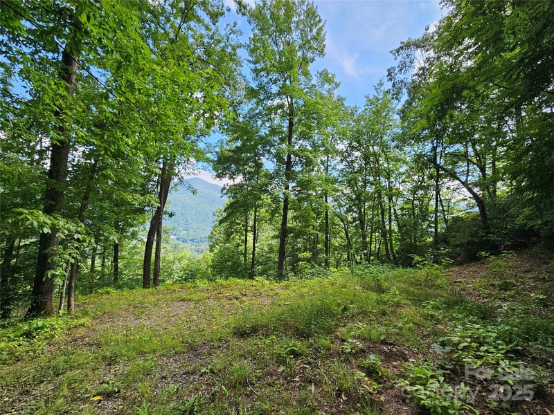 000 Big Boulder Rg #9, Maggie Valley, NC 28751