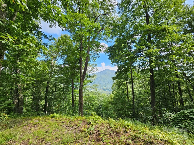 000 Big Boulder Rg #9, Maggie Valley, NC 28751