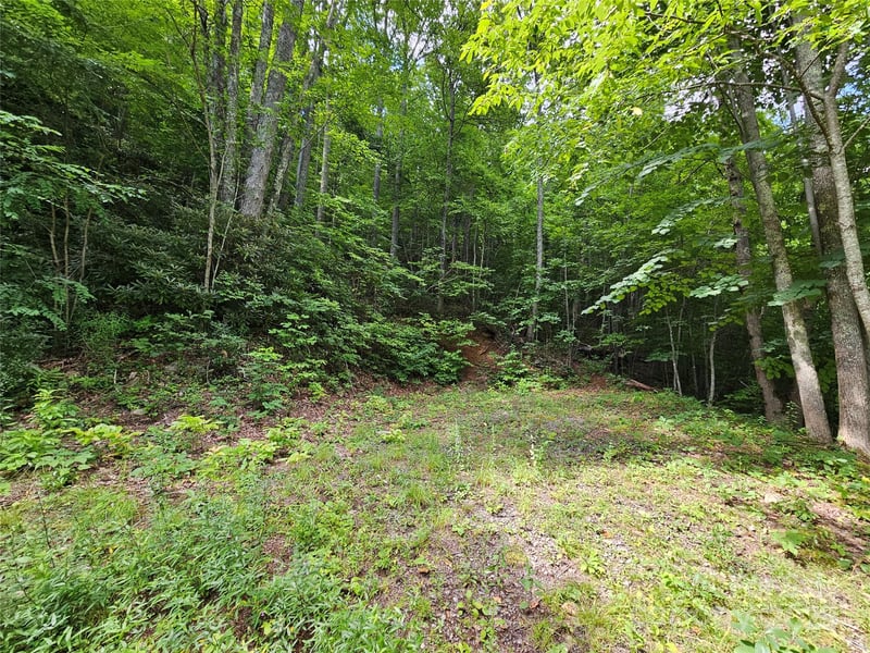 000 Big Boulder Rg #9, Maggie Valley, NC 28751