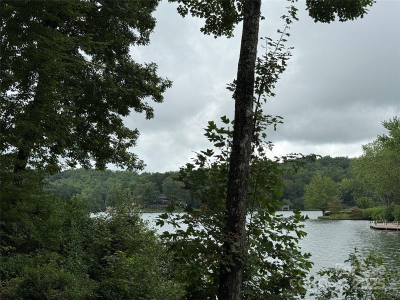 E49rev Cold Mountain Rd #E49rev, Lake Toxaway, NC 28747