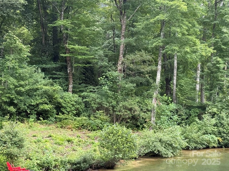 E49rev Cold Mountain Rd #E49rev, Lake Toxaway, NC 28747