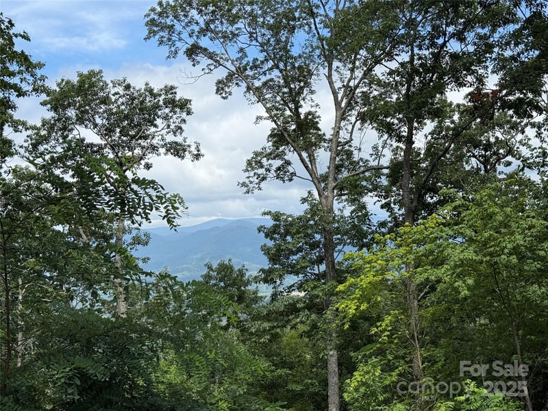 Lot 20 Heritage Ridge Rd #20/4, Burnsville, NC 28714