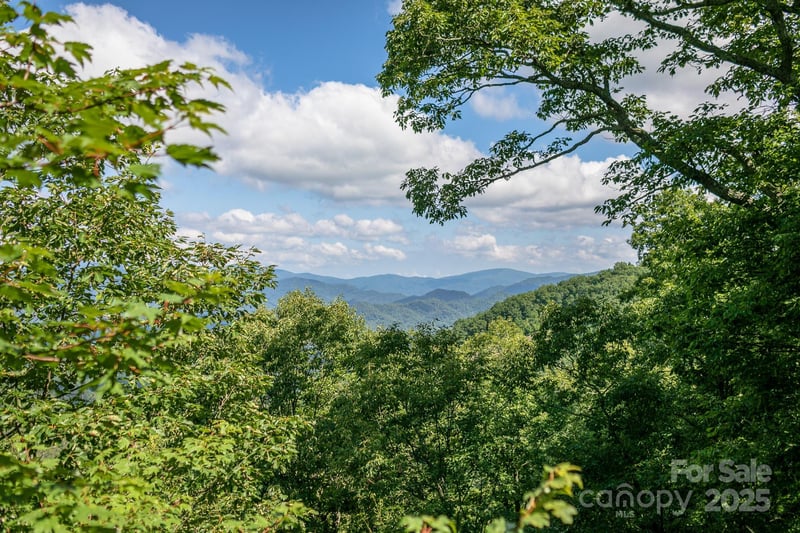 Lot 20 Heritage Ridge Rd #20/4, Burnsville, NC 28714