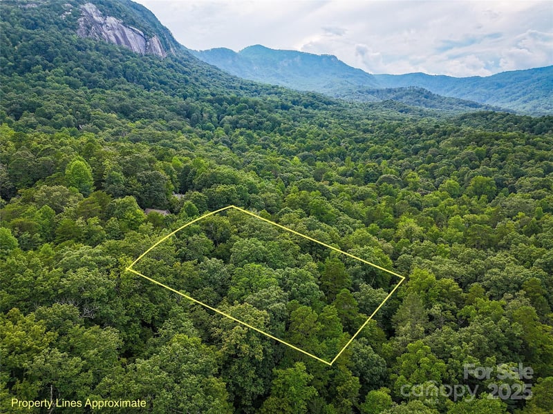 TBD Rumbling Bald Rd #15, Lake Lure, NC 28746