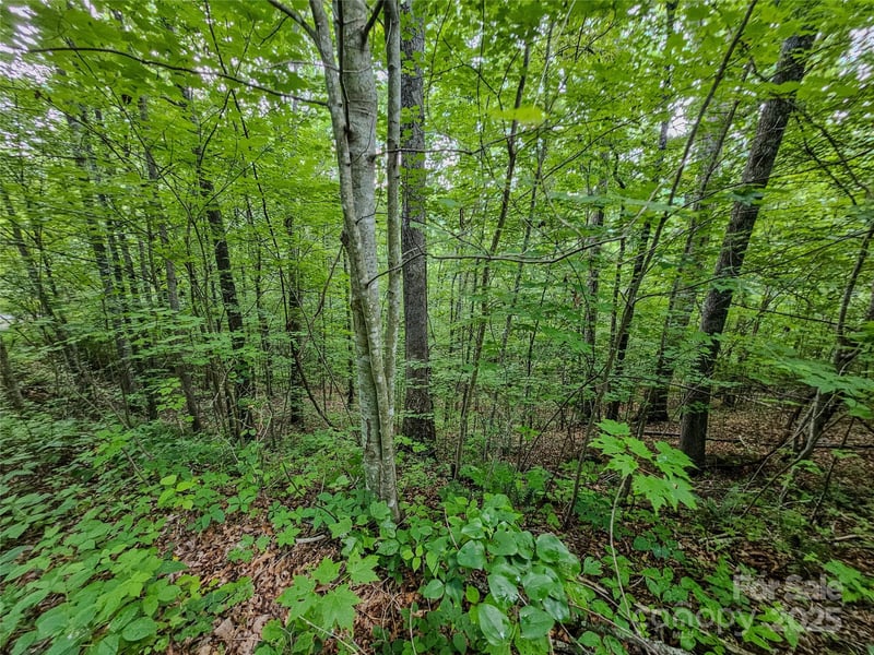 TBD Rumbling Bald Rd #15, Lake Lure, NC 28746