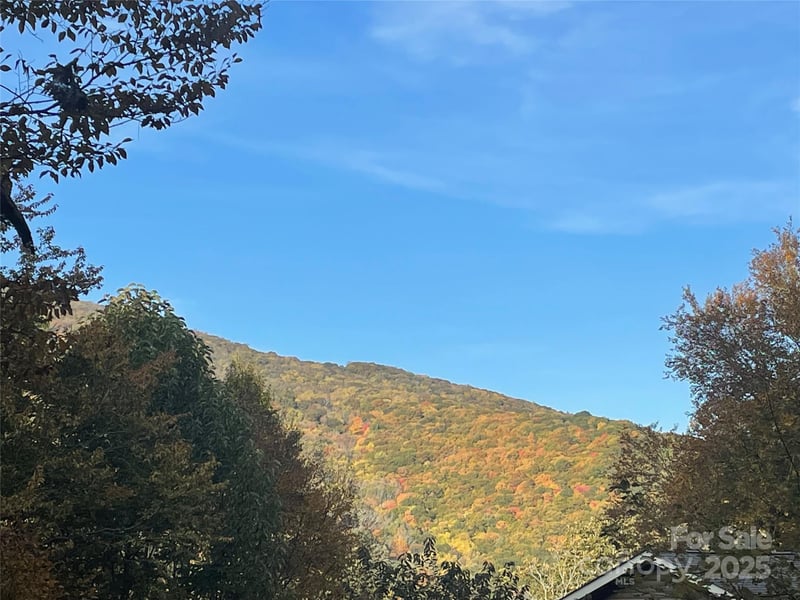 96 Chestnut Ln #96, Mars Hill, NC 28754