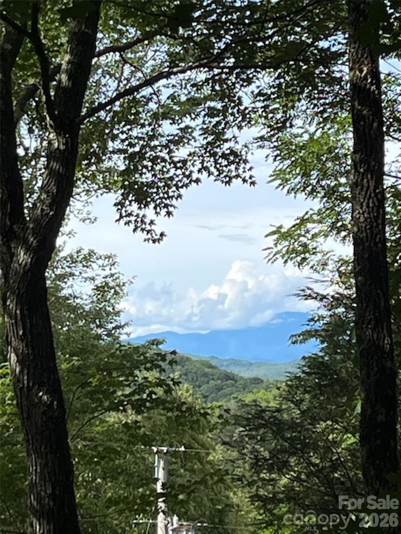 19 High Terrain Dr, Burnsville, NC 28714