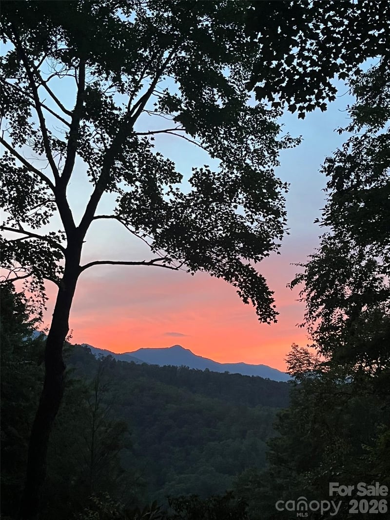 19 High Terrain Dr, Burnsville, NC 28714