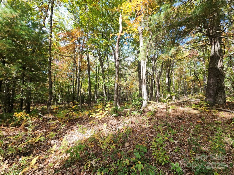 999999 Pointe Dr #1, Zirconia, NC 28790