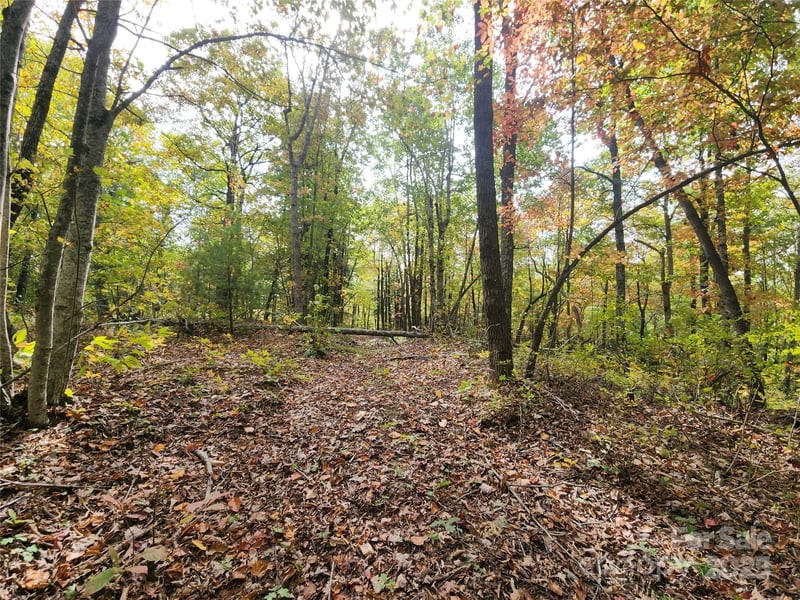 999999 Pointe Dr #1, Zirconia, NC 28790