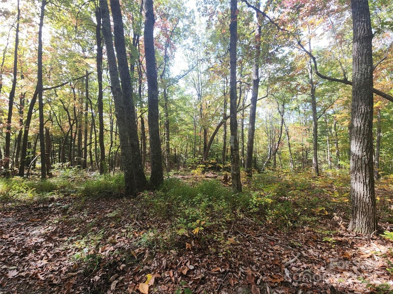 999999 Pointe Dr #1, Zirconia, NC 28790