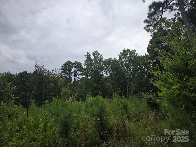 Nc 109 Hw, Troy, NC 27371