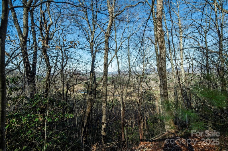 TBD Three Mile Knob Rd #L1, Pisgah Forest, NC 28768