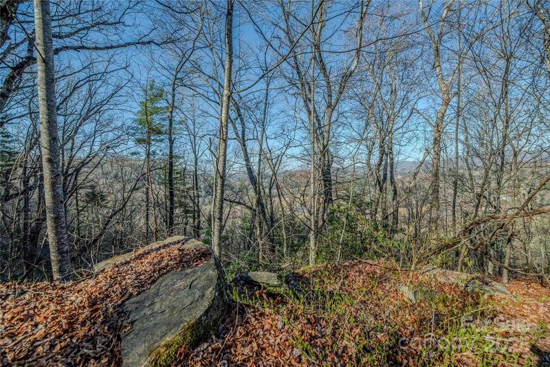 TBD Three Mile Knob Rd #L1, Pisgah Forest, NC 28768
