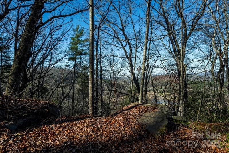TBD Three Mile Knob Rd #L1, Pisgah Forest, NC 28768