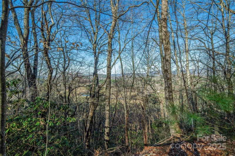 TBD Three Mile Knob Rd #L1, Pisgah Forest, NC 28768