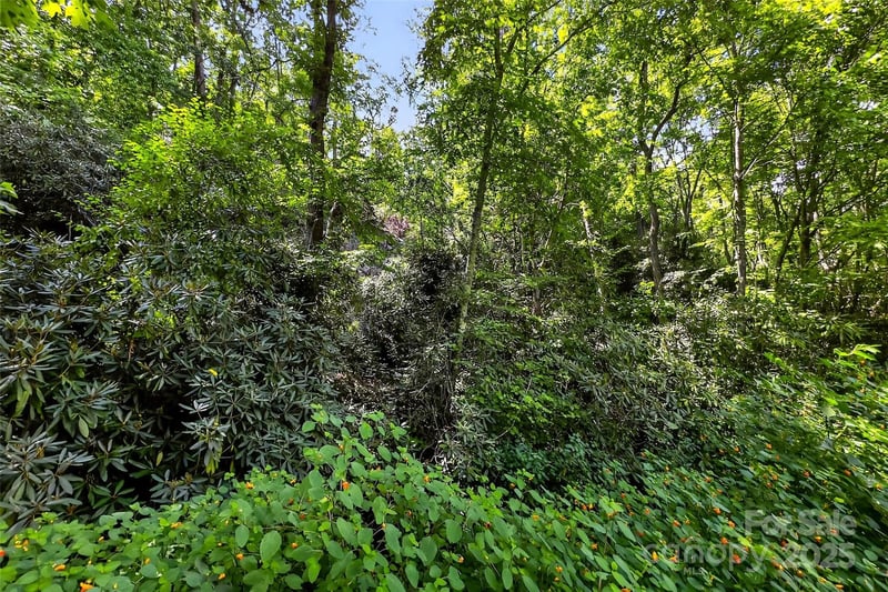 99999 Yates Ave, Black Mountain, NC 28711