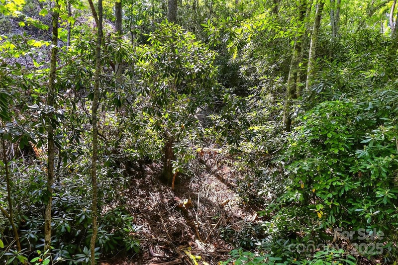 99999 Yates Ave, Black Mountain, NC 28711