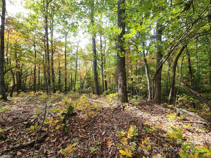 99999 Pointe Dr #2, Zirconia, NC 28790