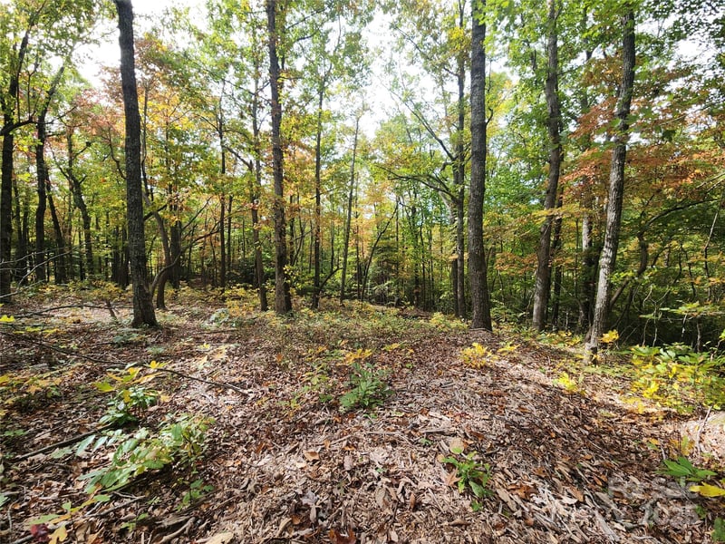 99999 Pointe Dr #2, Zirconia, NC 28790