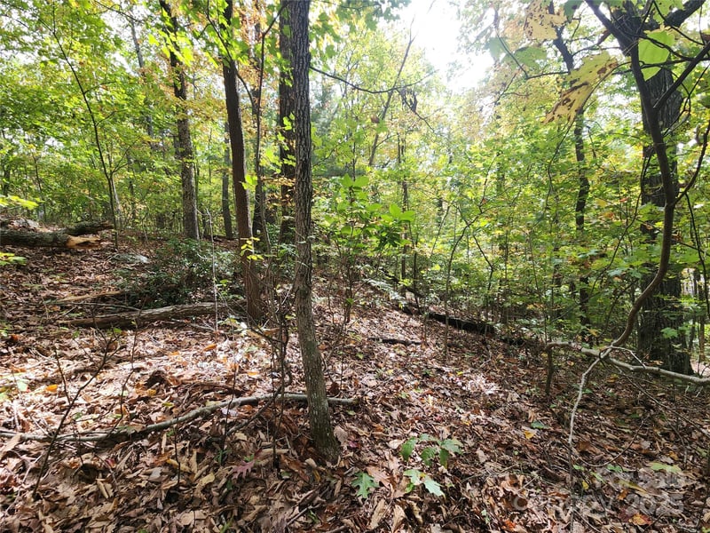 99999 Pointe Dr #3, Zirconia, NC 28790
