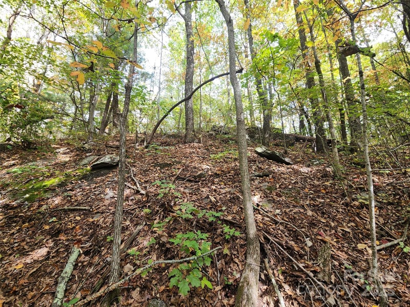 99999 Pointe Dr #3, Zirconia, NC 28790