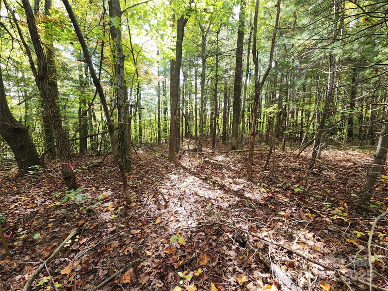99999 Pointe Dr #5 and 30, Zirconia, NC 28790