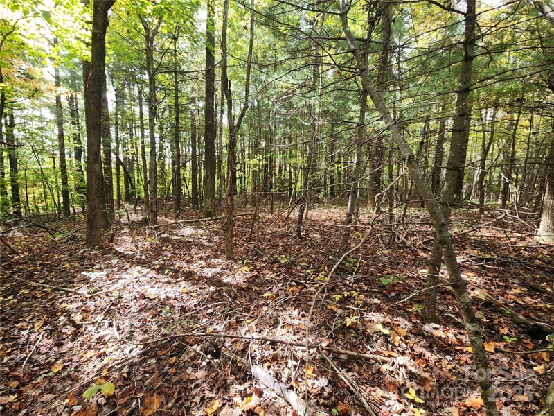 99999 Pointe Dr #5 and 30, Zirconia, NC 28790