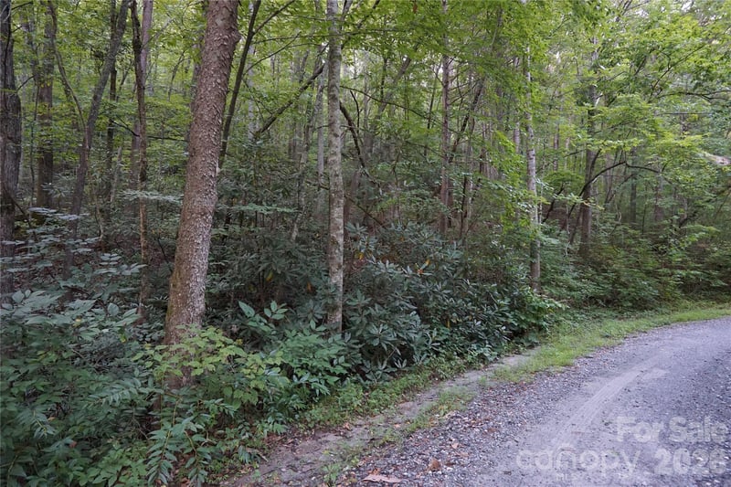 0 S Poplar Dr #162, Lake Lure, NC 28746