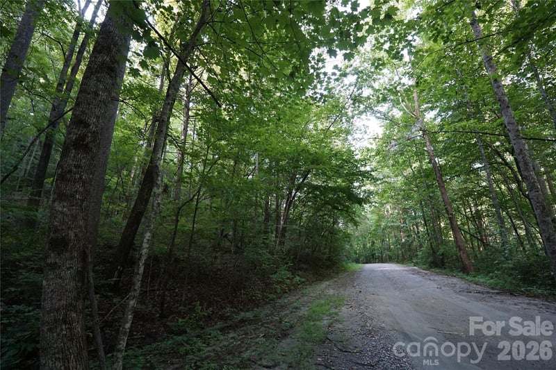 0 S Poplar Dr #162, Lake Lure, NC 28746