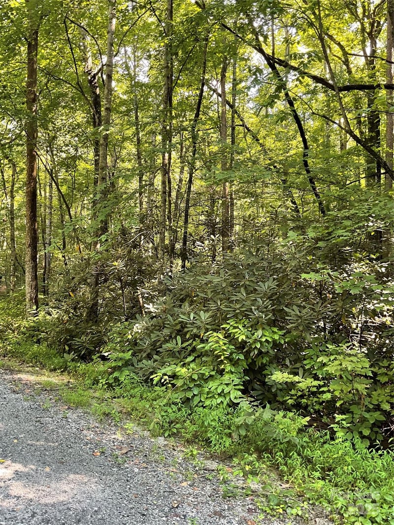 Poplar Dr #162, Lake Lure, NC 28746
