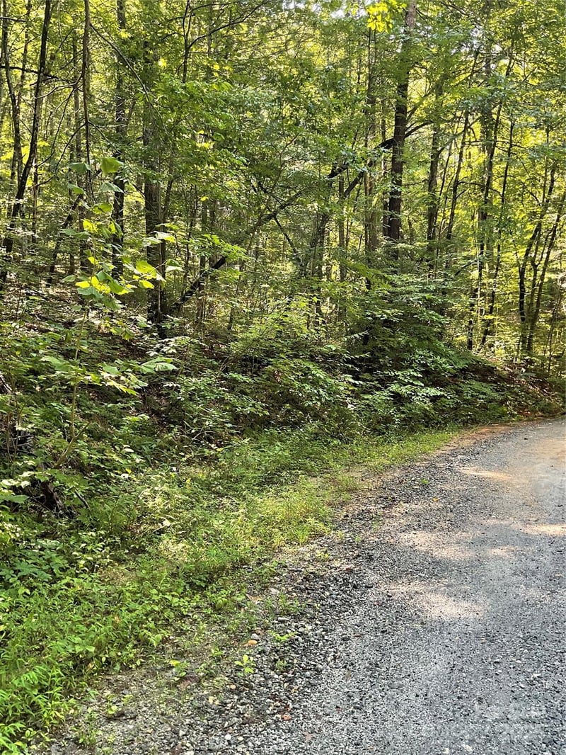 Poplar Dr #162, Lake Lure, NC 28746