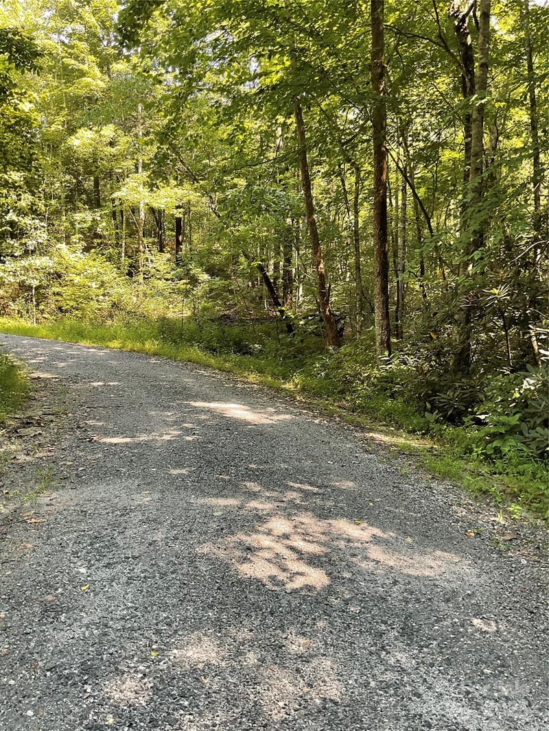 Poplar Dr #162, Lake Lure, NC 28746