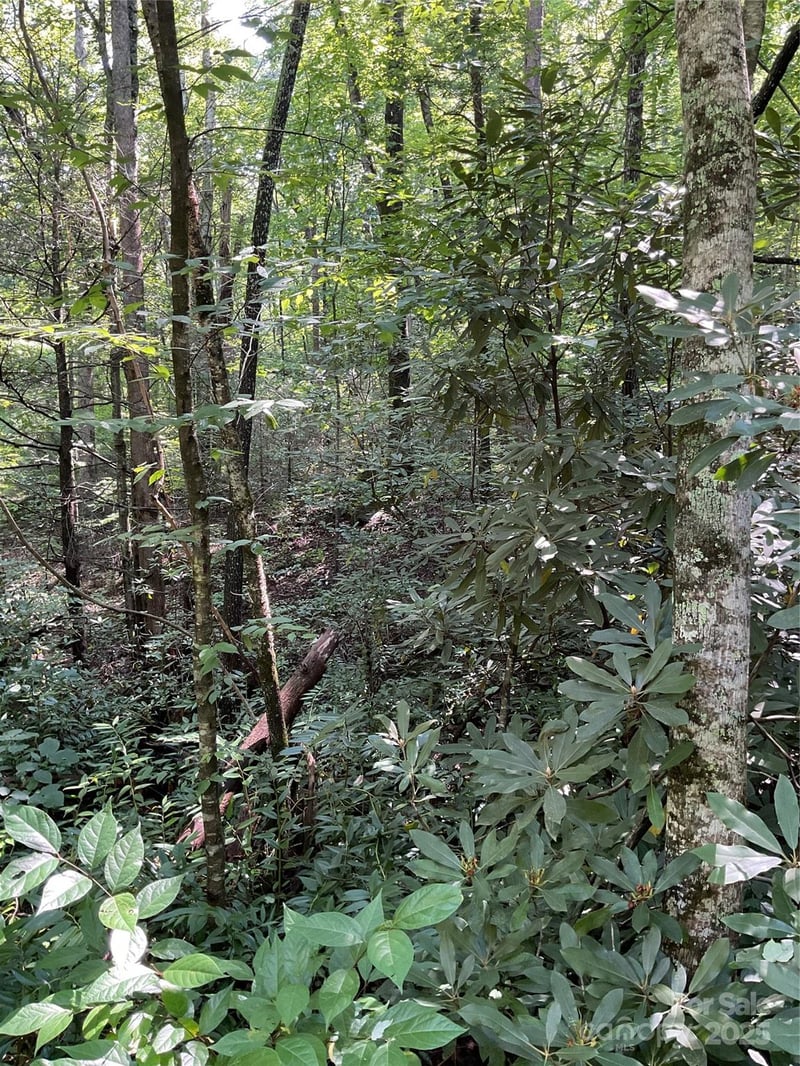 Poplar Dr #162, Lake Lure, NC 28746